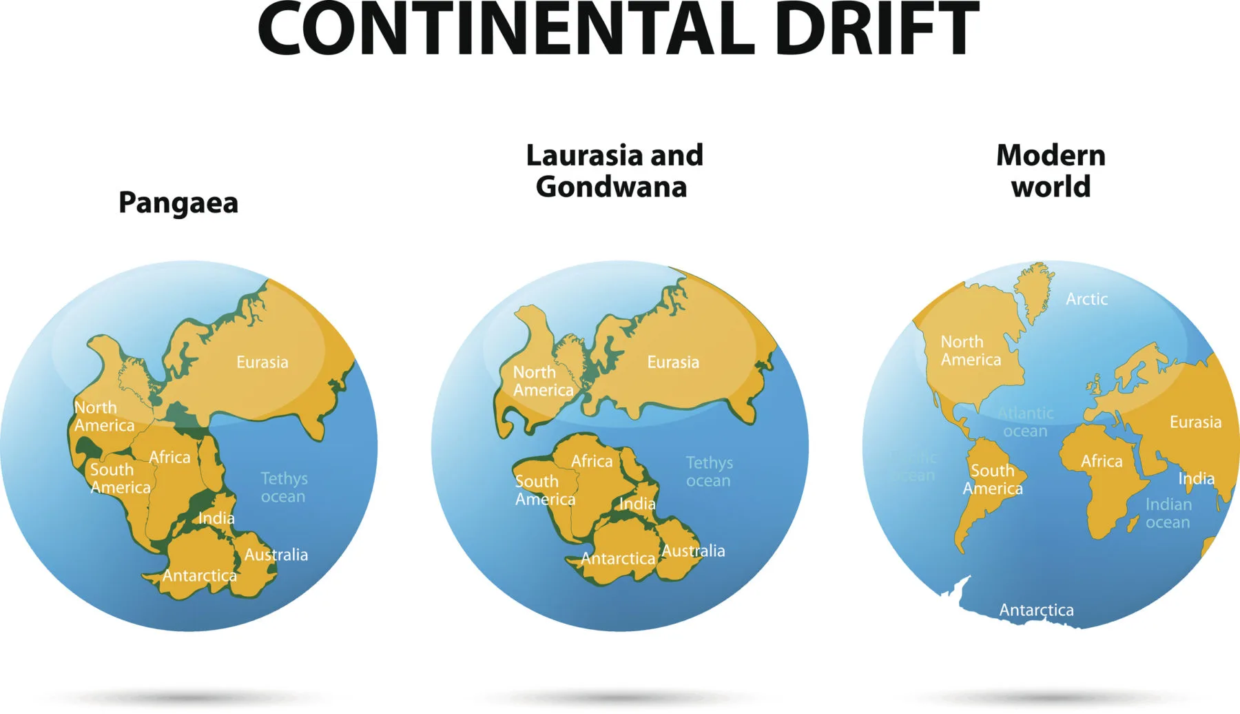 Continental Drift Geographic Book